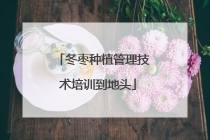 冬枣种植管理技术培训到地头