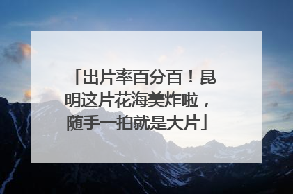出片率百分百！昆明这片花海美炸啦，随手一拍就是大片