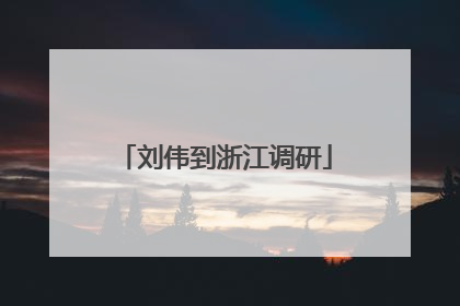 刘伟到浙江调研