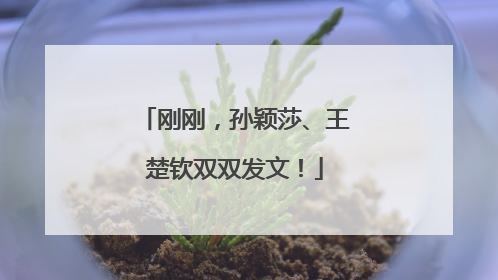 刚刚，孙颖莎、王楚钦双双发文！