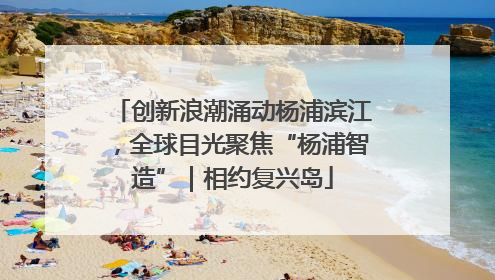 创新浪潮涌动杨浦滨江，全球目光聚焦“杨浦智造”｜相约复兴岛