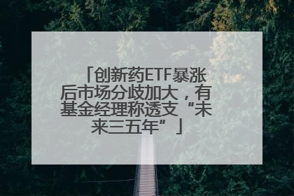 创新药ETF暴涨后市场分歧加大，有基金经理称透支“未来三五年”