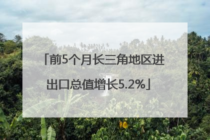 前5个月长三角地区进出口总值增长5.2%
