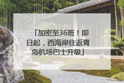 加密至36班！即日起，西海岸往返青岛机场巴士升级
