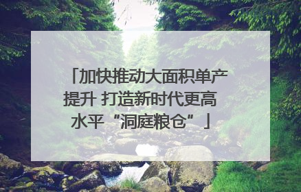 加快推动大面积单产提升 打造新时代更高水平“洞庭粮仓”