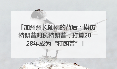 加州州长硬刚的背后：模仿特朗普对抗特朗普，打算2028年成为“特朗普”