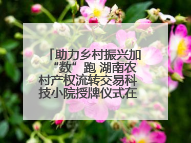 助力乡村振兴加“数”跑 湖南农村产权流转交易科技小院授牌仪式在长沙举行