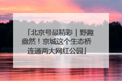 北京号最精彩｜野趣盎然！京城这个生态桥连通两大网红公园