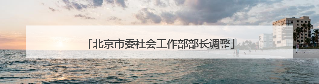 北京市委社会工作部部长调整