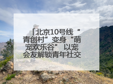 北京10号线“青创村”变身“萌宠欢乐谷” 以宠会友解锁青年社交新范式