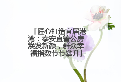 匠心打造宜居港湾：泰安直管公房焕发新颜，群众幸福指数节节攀升