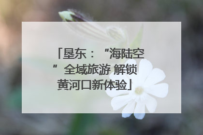 垦东：“海陆空”全域旅游 解锁黄河口新体验