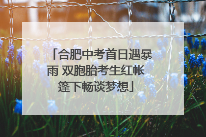 合肥中考首日遇暴雨 双胞胎考生红帐篷下畅谈梦想