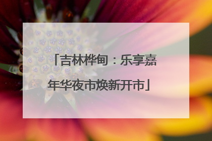 吉林桦甸：乐享嘉年华夜市焕新开市