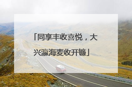 同享丰收喜悦，大兴瀛海麦收开镰