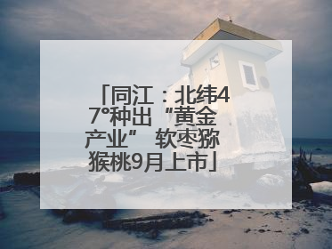 同江：北纬47°种出“黄金产业” 软枣猕猴桃9月上市