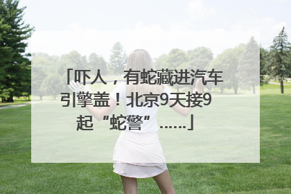 吓人，有蛇藏进汽车引擎盖！北京9天接9起“蛇警”……