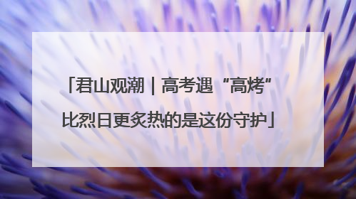 君山观潮｜高考遇“高烤” 比烈日更炙热的是这份守护