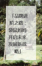 品牌进阶之路：袋鼠妈妈开启未来发展新战略