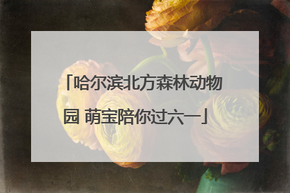 哈尔滨北方森林动物园 萌宝陪你过六一