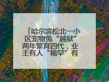 哈尔滨松北一小区宠物兔“越狱”两年繁育四代，业主有人“稀罕”有人忧，专家提醒