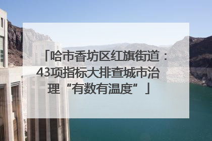 哈市香坊区红旗街道：43项指标大排查城市治理“有数有温度”