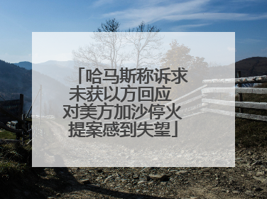 哈马斯称诉求未获以方回应 对美方加沙停火提案感到失望