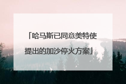 哈马斯已同意美特使提出的加沙停火方案