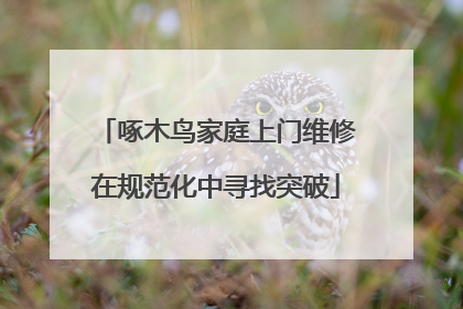 啄木鸟家庭上门维修在规范化中寻找突破