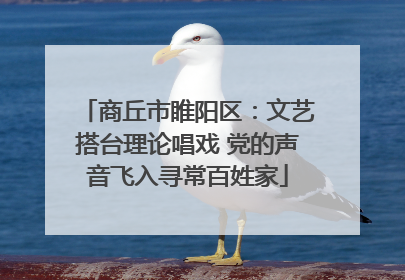 商丘市睢阳区：文艺搭台理论唱戏 党的声音飞入寻常百姓家