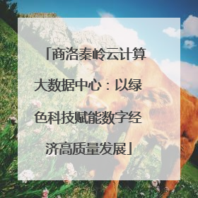 商洛秦岭云计算大数据中心：以绿色科技赋能数字经济高质量发展
