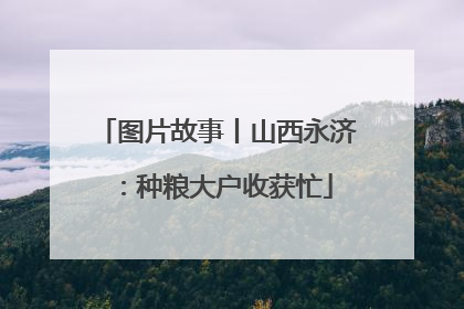 图片故事丨山西永济：种粮大户收获忙