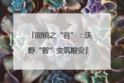 固镇之“谷”：沃野“智”变筑粮安