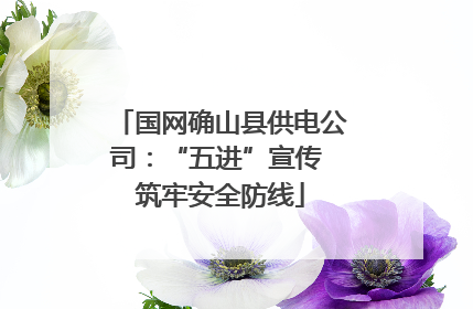 国网确山县供电公司：“五进”宣传 筑牢安全防线