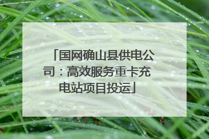 国网确山县供电公司：高效服务重卡充电站项目投运