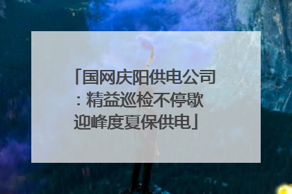 国网庆阳供电公司：精益巡检不停歇 迎峰度夏保供电