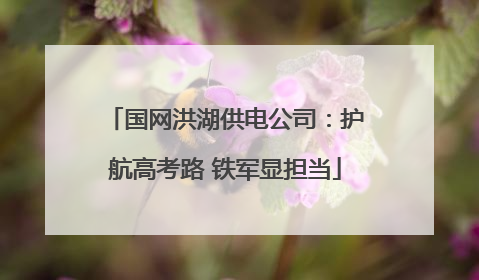 国网洪湖供电公司：护航高考路 铁军显担当