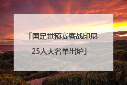 国足世预赛客战印尼25人大名单出炉