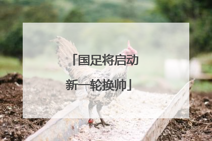 国足将启动新一轮换帅