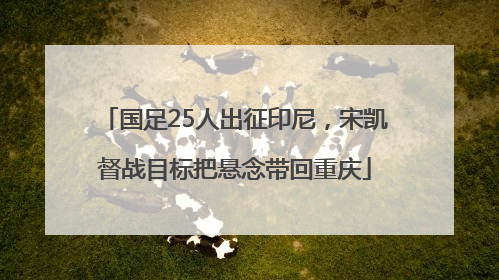 国足25人出征印尼，宋凯督战目标把悬念带回重庆