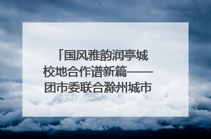 国风雅韵润亭城 校地合作谱新篇——团市委联合滁州城市职业学院助力传统文化“破圈”绽放