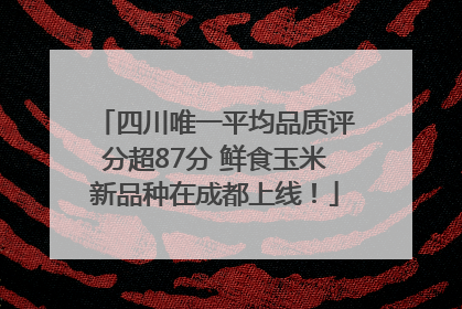 四川唯一平均品质评分超87分 鲜食玉米新品种在成都上线！