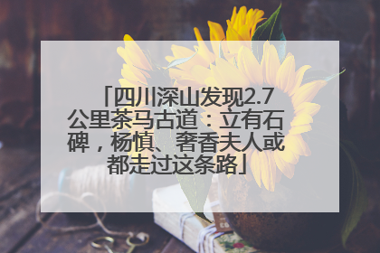 四川深山发现2.7公里茶马古道：立有石碑，杨慎、奢香夫人或都走过这条路