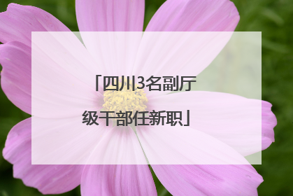 四川3名副厅级干部任新职