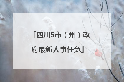 四川5市（州）政府最新人事任免