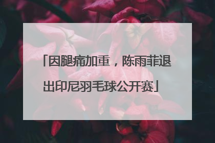 因腿痛加重，陈雨菲退出印尼羽毛球公开赛