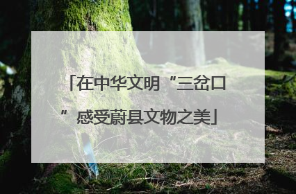 在中华文明“三岔口”感受蔚县文物之美