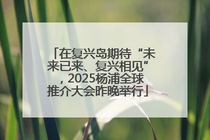 在复兴岛期待“未来已来、复兴相见”，2025杨浦全球推介大会昨晚举行