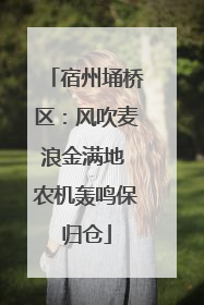宿州埇桥区：风吹麦浪金满地 农机轰鸣保归仓