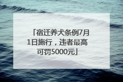 宿迁养犬条例7月1日施行，违者最高可罚5000元
